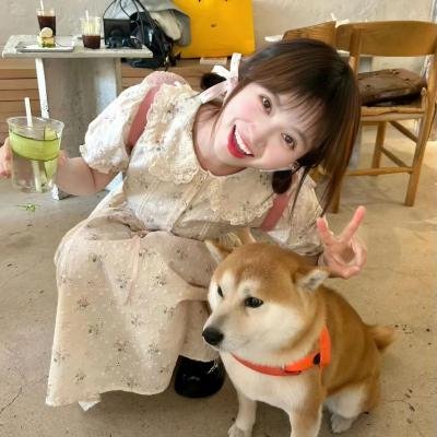 龙虎会