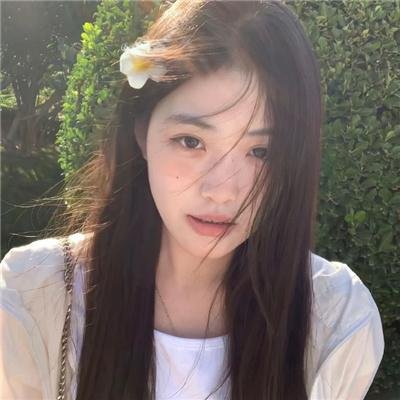 白山新歌