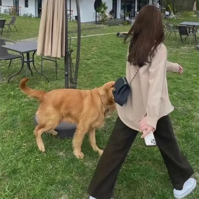 流浪的尤莱克